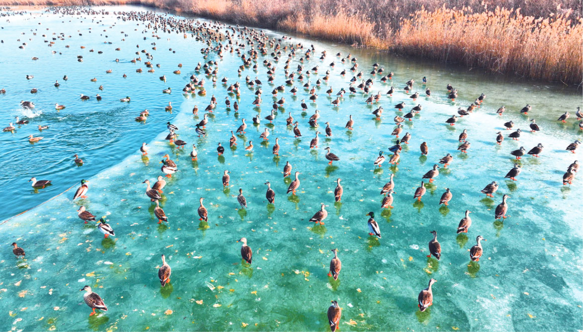 ���B��؄e����